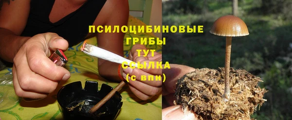а пвп мука Абаза