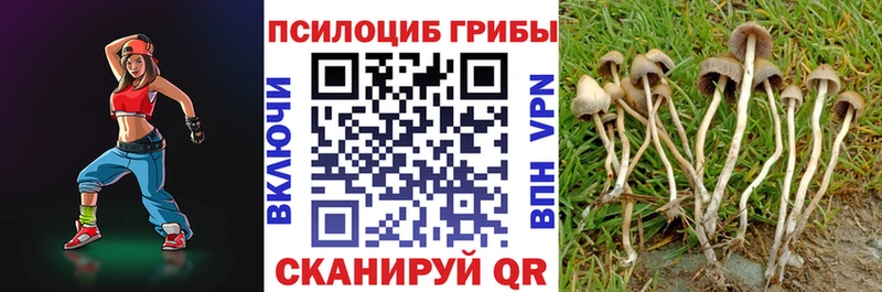ОМГ ОМГ онион Партизанск Галлюциногенные грибы GOLDEN TEACHER