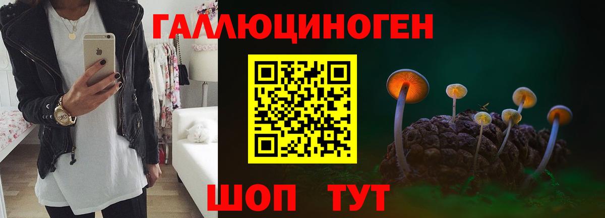 Галлюциногенные грибы Psilocybine cubensis  Вход с VPN  Партизанск  Галлюциногенные грибы GOLDEN TEACHER 